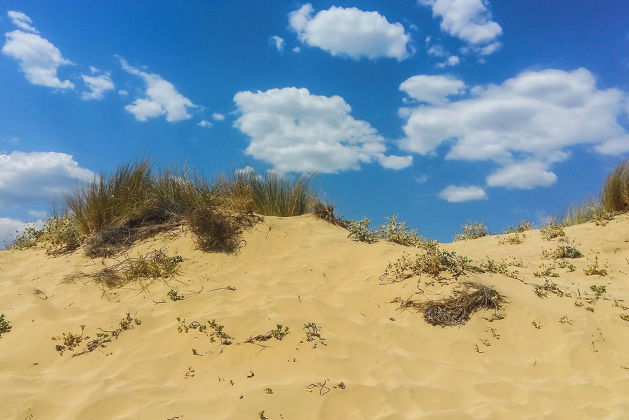It's not desert. It's a beach! sand dunes in contrast to the blue sky! #BVSBlue