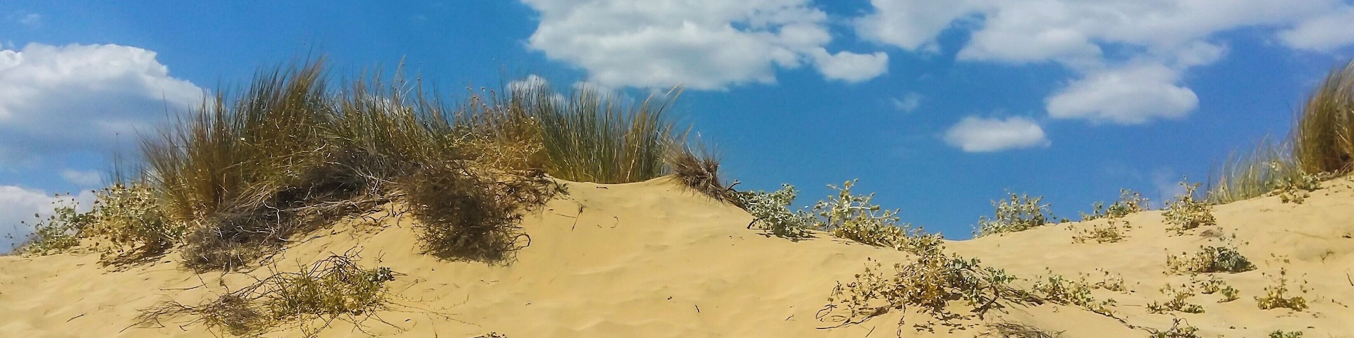 It's not desert. It's a beach! sand dunes in contrast to the blue sky! #BVSBlue