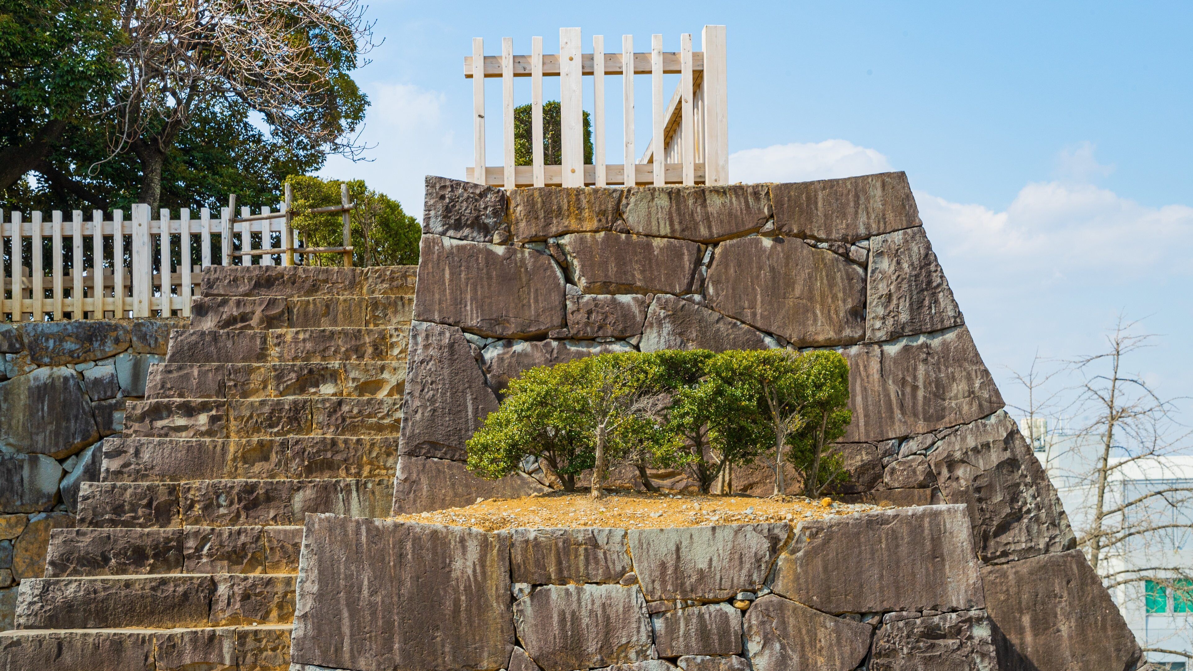 Maizuru Castle featuring a park