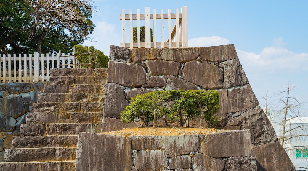 Maizuru Castle featuring a park