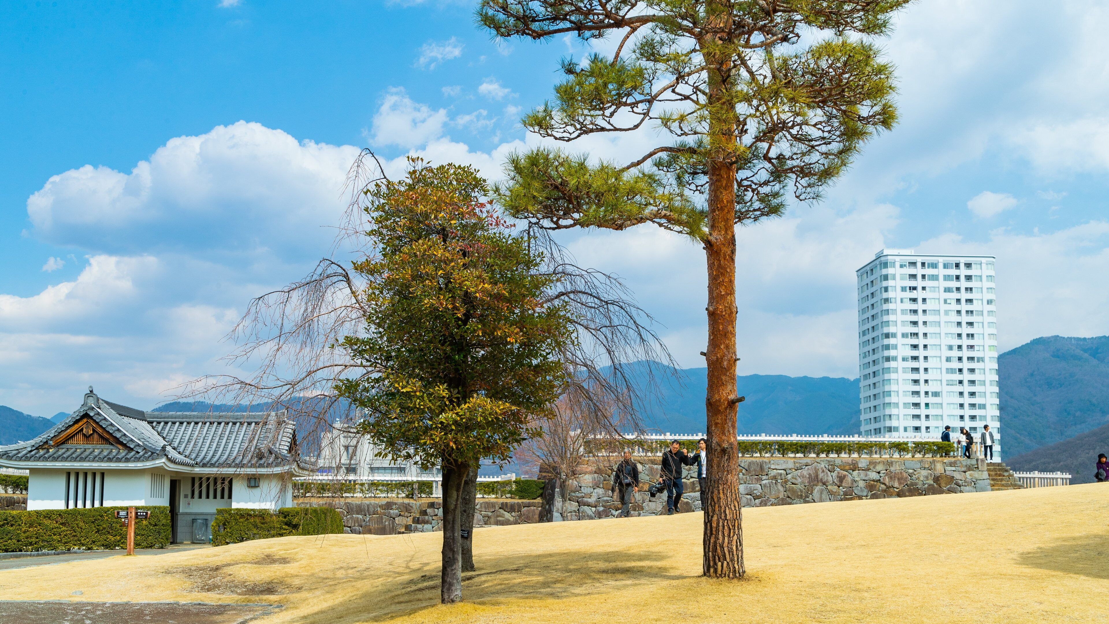 Maizuru Castle which includes a park as well as a small group of people