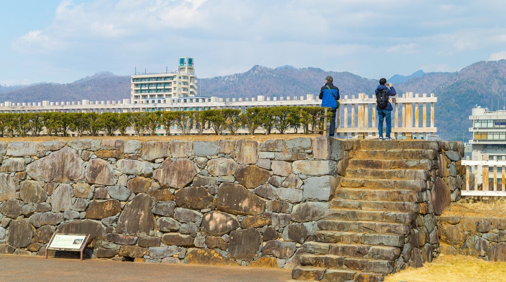 Maizuru Castle which includes views as well as a couple