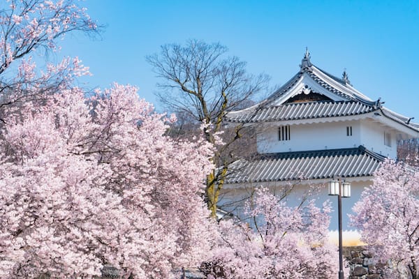 Un château japonais traditionnel, avec des cerisiers en fleurs au premier plan.