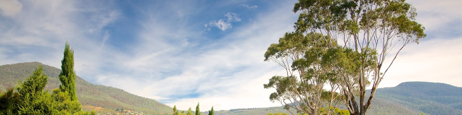 ミュージアム オブ オールド アンド ニュー アート フィーチャー 自然の風景