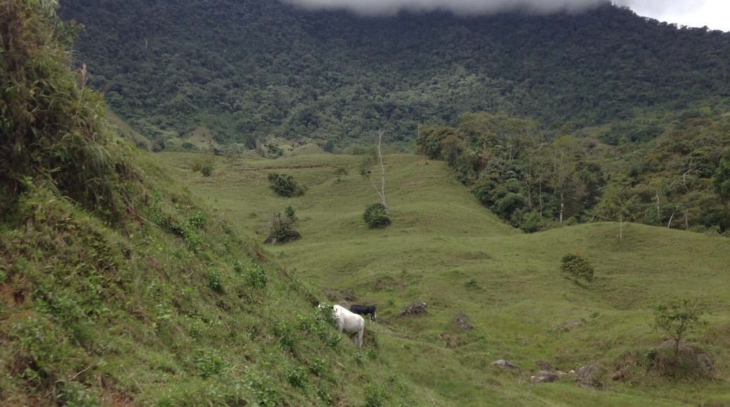 The beautiful mountains surrounding many cities in Antioquia. If you take the bus in Colombia you will get to see this scenic landscape.