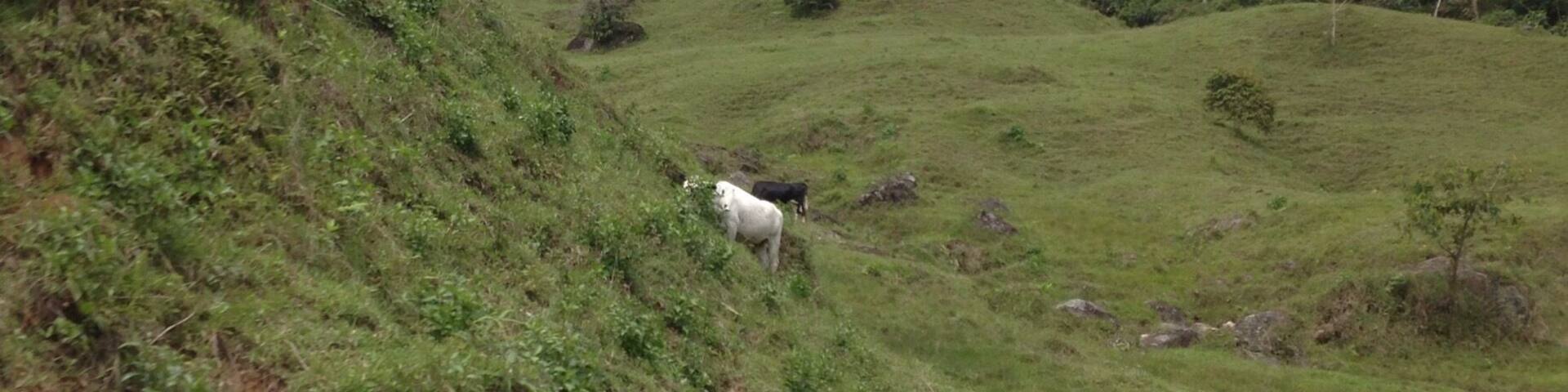 The beautiful mountains surrounding many cities in Antioquia. If you take the bus in Colombia you will get to see this scenic landscape.