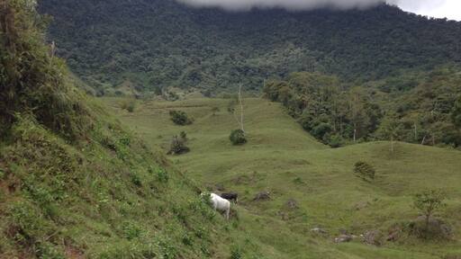 The beautiful mountains surrounding many cities in Antioquia. If you take the bus in Colombia you will get to see this scenic landscape.