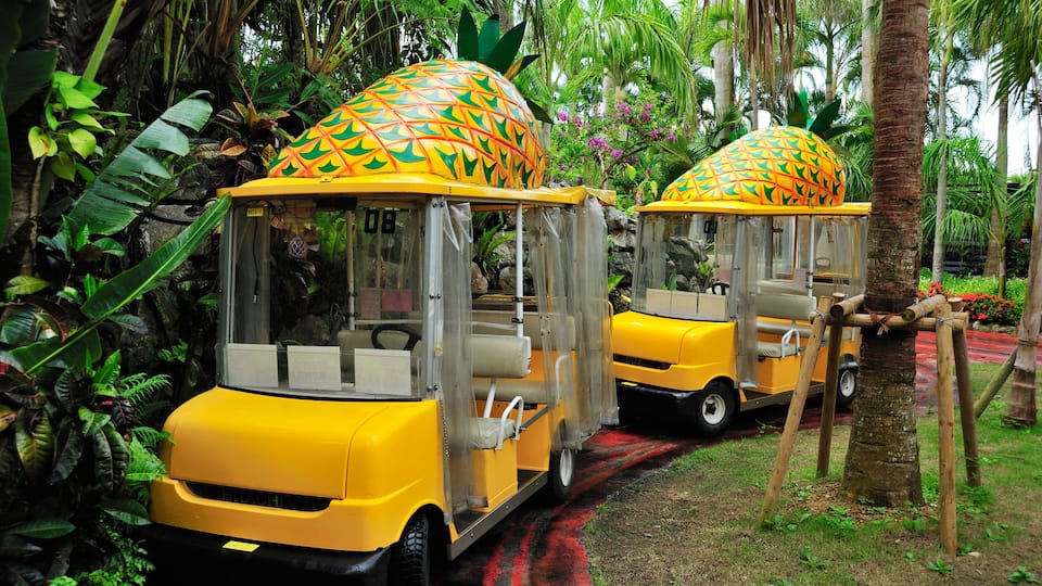 B6BTBE Pineapple Park, Nago City, Okinawa, Japan