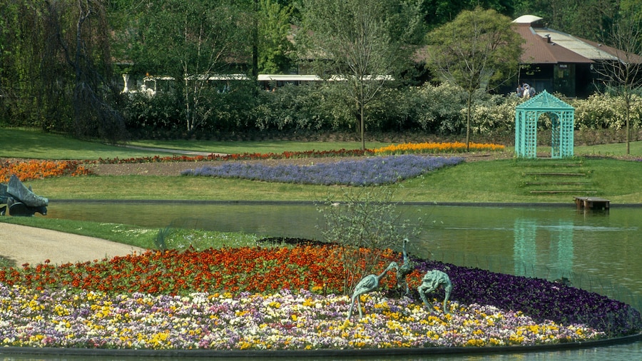 Parc floral de Paris, Vincennes, 94, Val de Marne, Région Ile de France, France