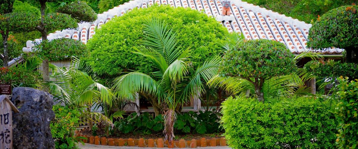 Ryukyu Mura qui includes jardin
