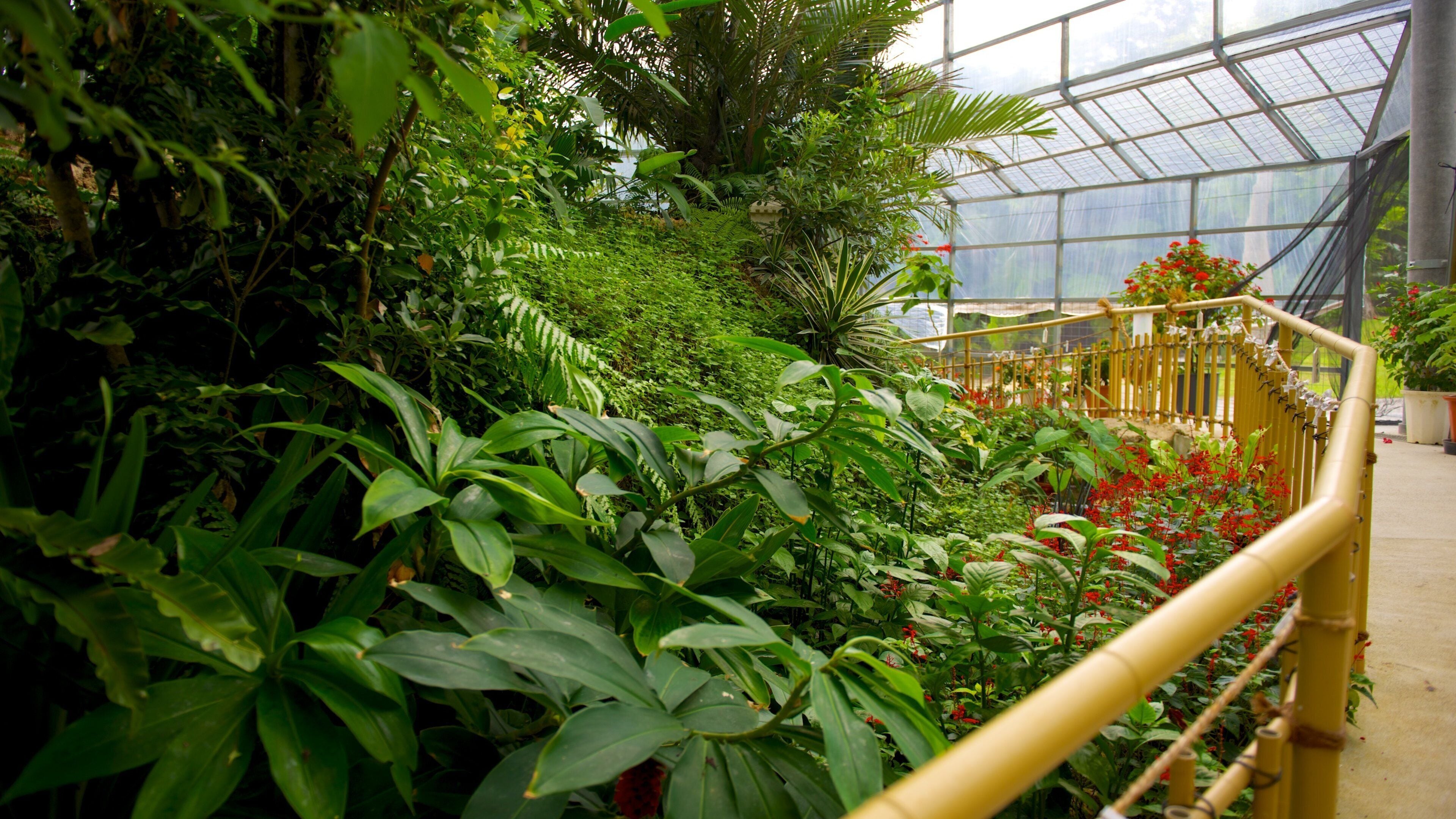 Ryukyu Mura showing a park and interior views