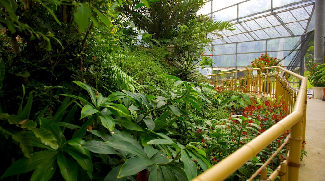 Ryukyu Mura showing a park and interior views