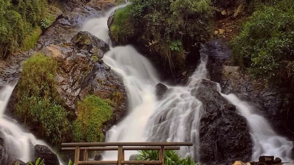 #Nature
A very beautiful feature to a great restaurant