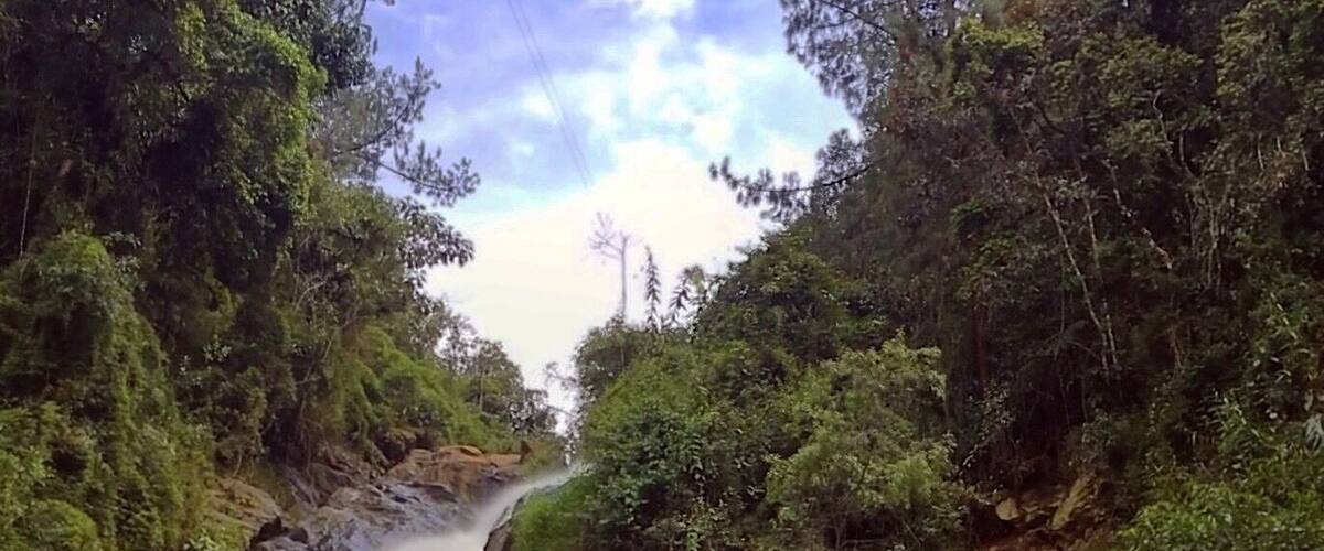 A waterfall cascading over rocks surrounded by lush greenery.