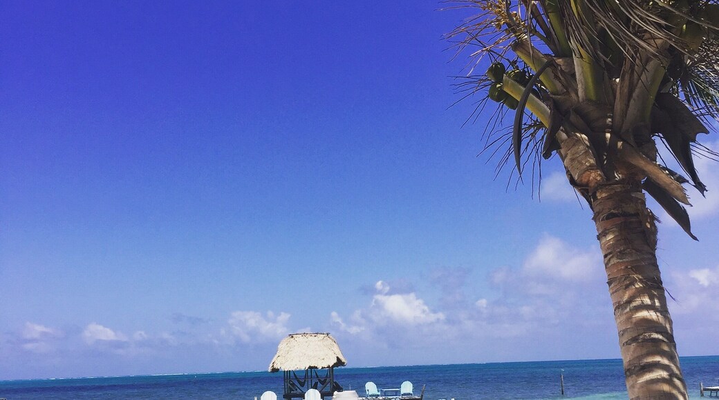 My friend Katie and I stayed at Colinda's during our visit to Caye Caulker, a tiny island off the coast of Belize City, Belize. Very underdeveloped, laid back place with a relaxing vibe and clear turquoise waters. Not very touristy at all.
