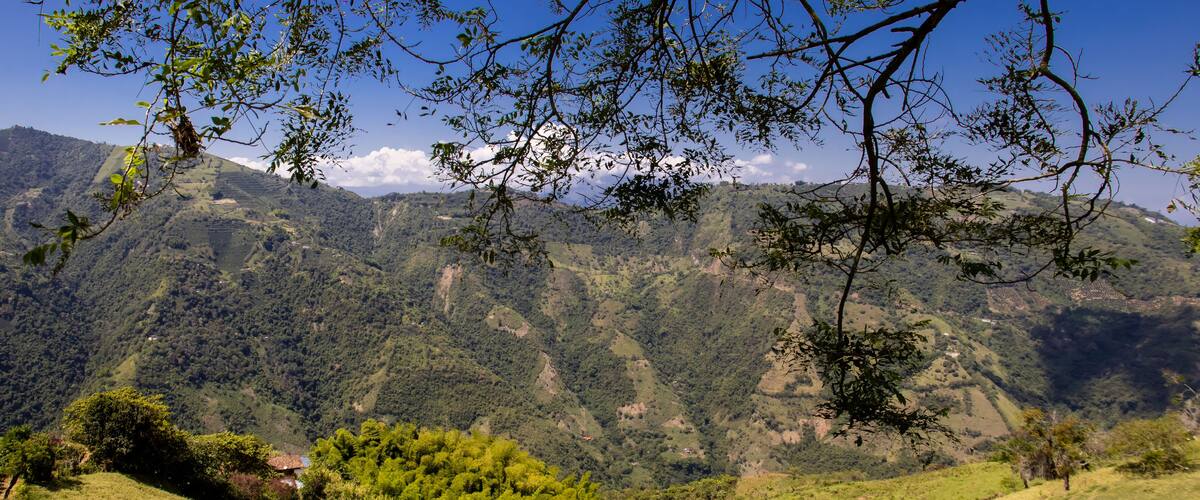 A mountainous landscape with dense green forests and a clear blue sky.