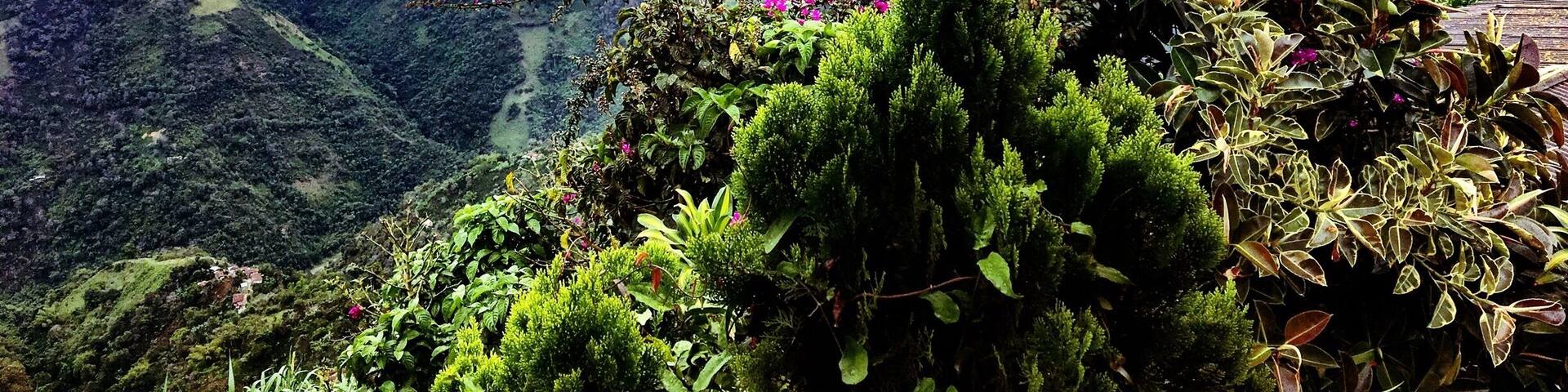 The view from my home in Salamina. #Colombia