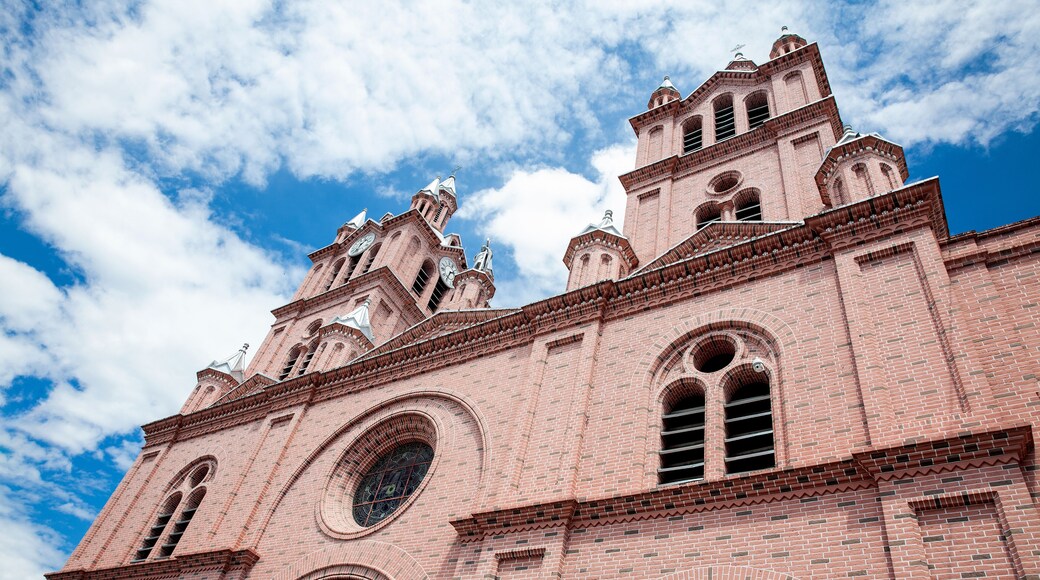 上主奇跡大教堂