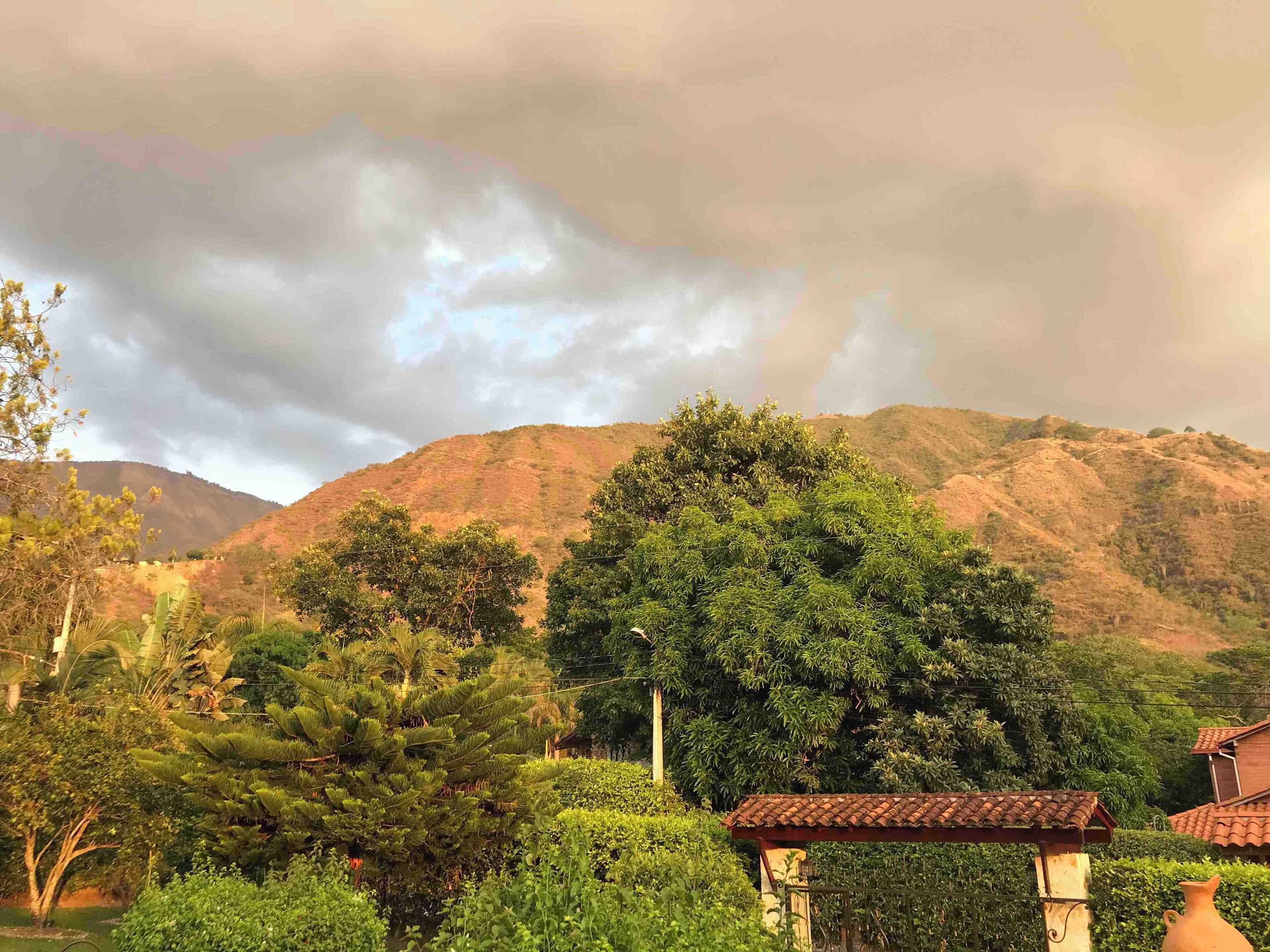 Peaceful side of the countryside.

#nature