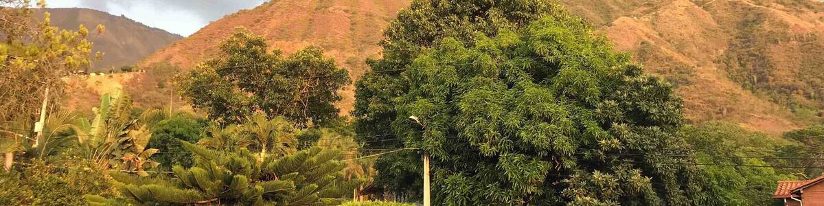 Peaceful side of the countryside.
#nature