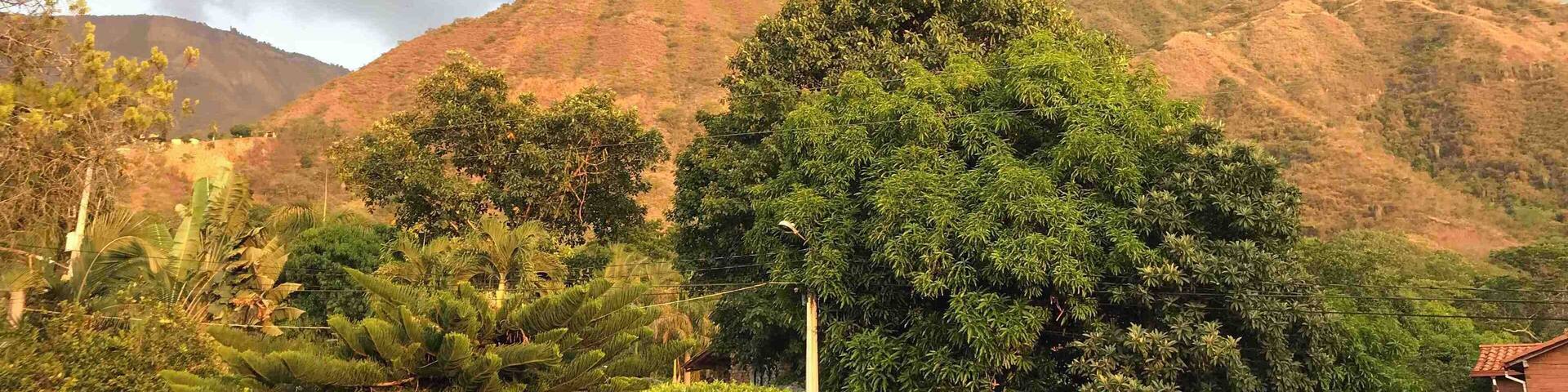 Peaceful side of the countryside.
#nature