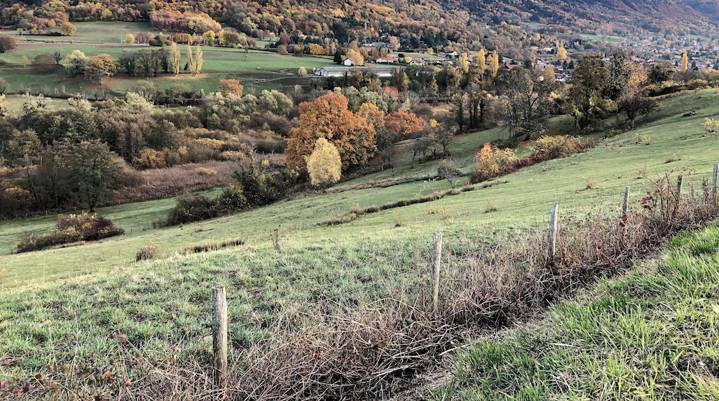 Autumn bike ride in Geneva‘s “back yard” with lovely views of colourful trees...!
#genevacycling #lifeatexpediagroup