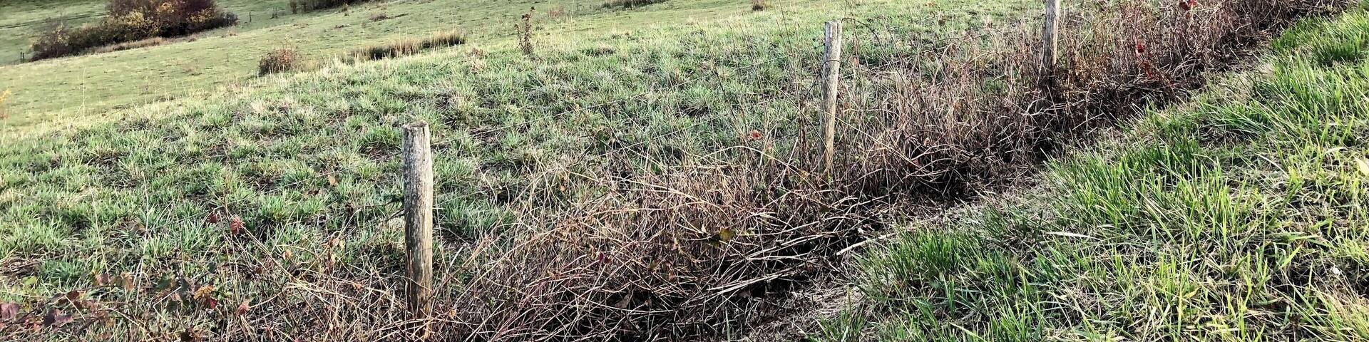 Autumn bike ride in Genevaâs âback yardâ with lovely views of colourful trees...!
#genevacycling #lifeatexpediagroup