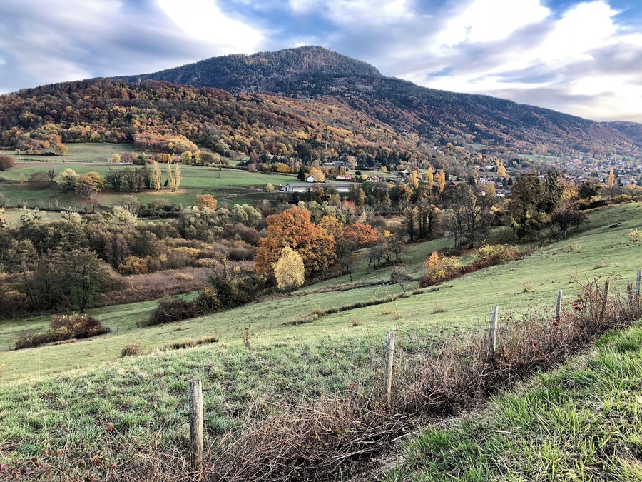 Autumn bike ride in Geneva‘s “back yard” with lovely views of colourful trees...!
#genevacycling #lifeatexpediagroup