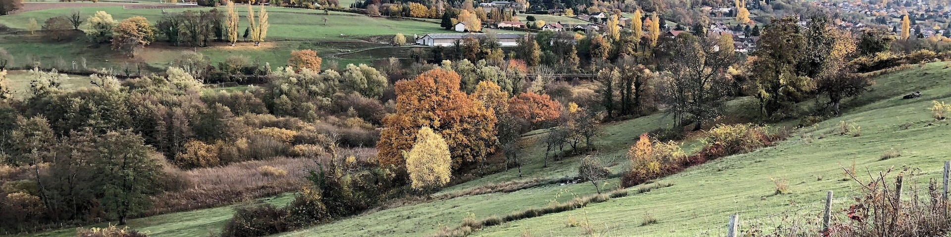 Autumn bike ride in Geneva‘s “back yard” with lovely views of colourful trees...!
#genevacycling #lifeatexpediagroup