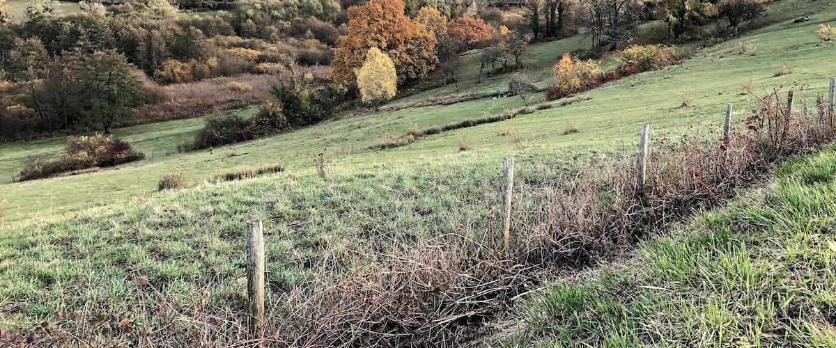 A rural landscape with rolling hills, a village, and autumn-colored trees.