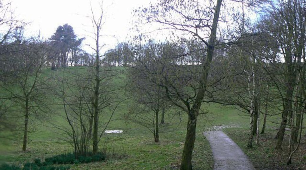 Woodthorpe Grange Park This is the Mapperley side, near Sherwood Vale