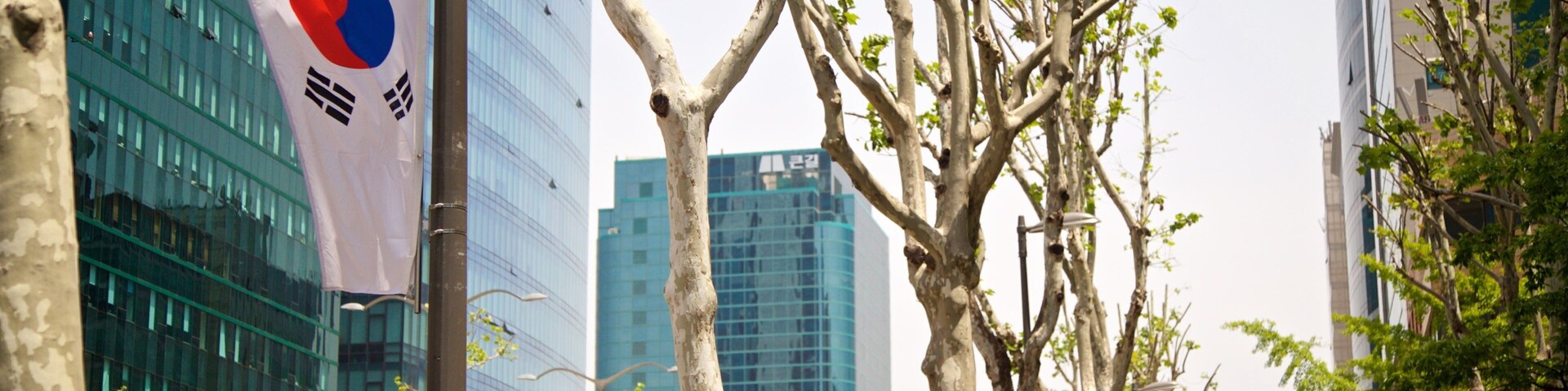 Yeoksam which includes a city