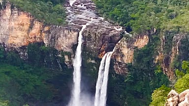 Uma cascata desce por um penhasco rochoso, rodeada por uma floresta verde densa.