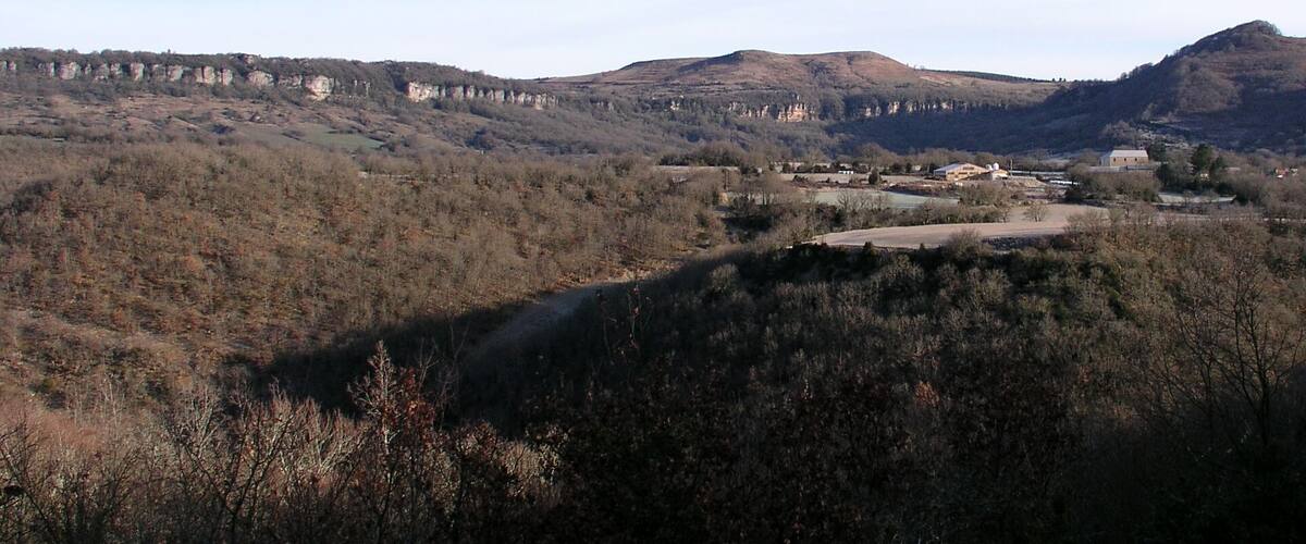 A valley with a river, forested hills, and a distant town with buildings.