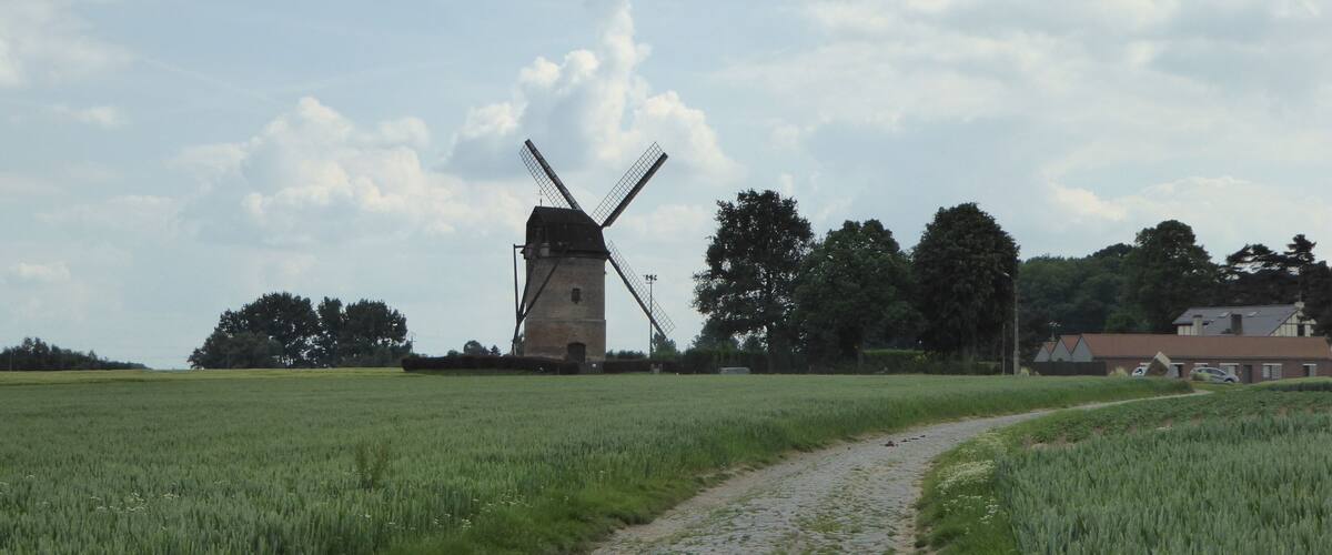 White Mill of Templeuve (Nord, France).