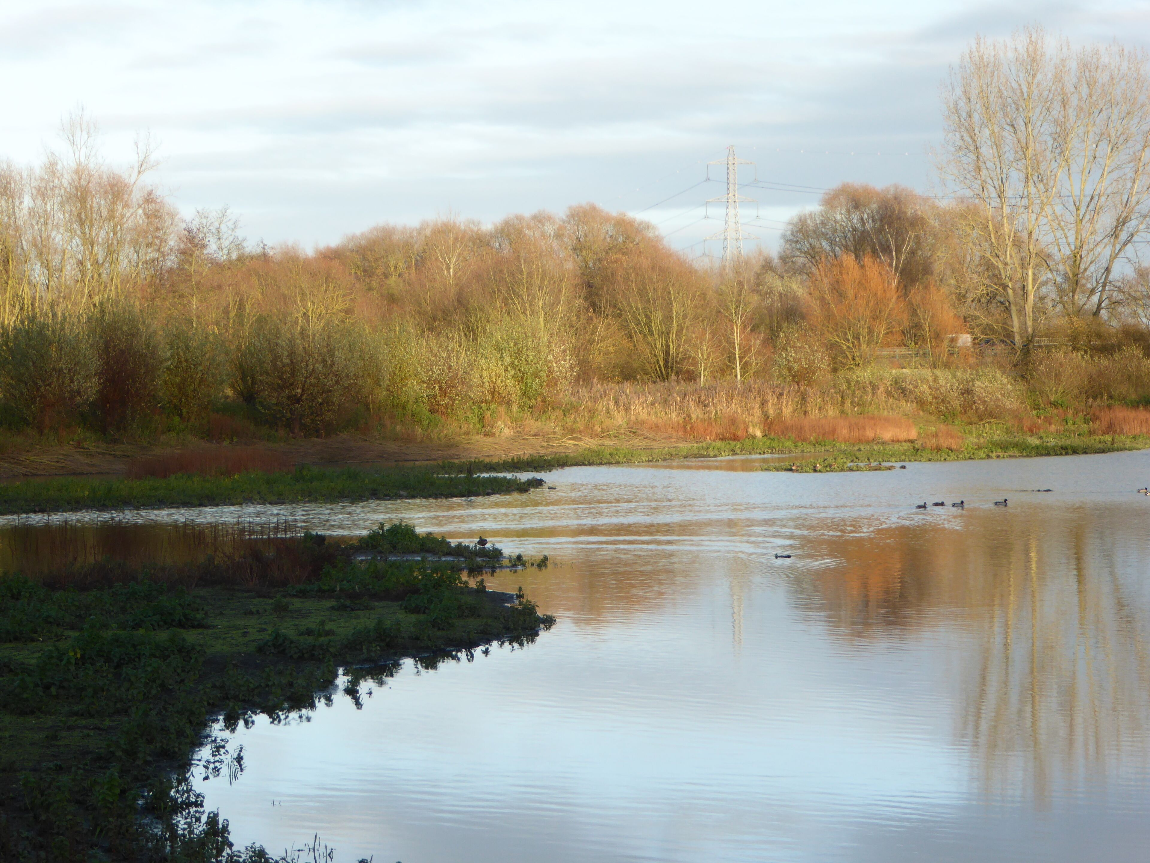 Fretin .Le Marais_de_Bonance