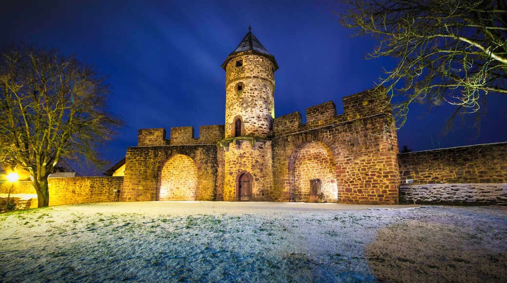 This is a picture of the hessian Kulturdenkmal (cultural monument) with the ID