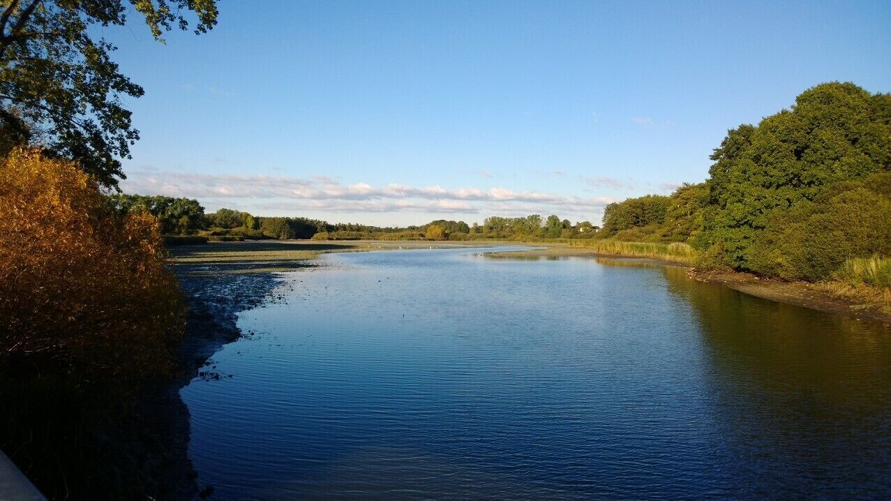 Naturschutzgebiet Oberer Herrenteich (Reinfeld, Holstein)