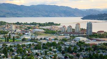 Parque Knox Mountain mostrando un puente, situaciones tranquilas y un río o arroyo