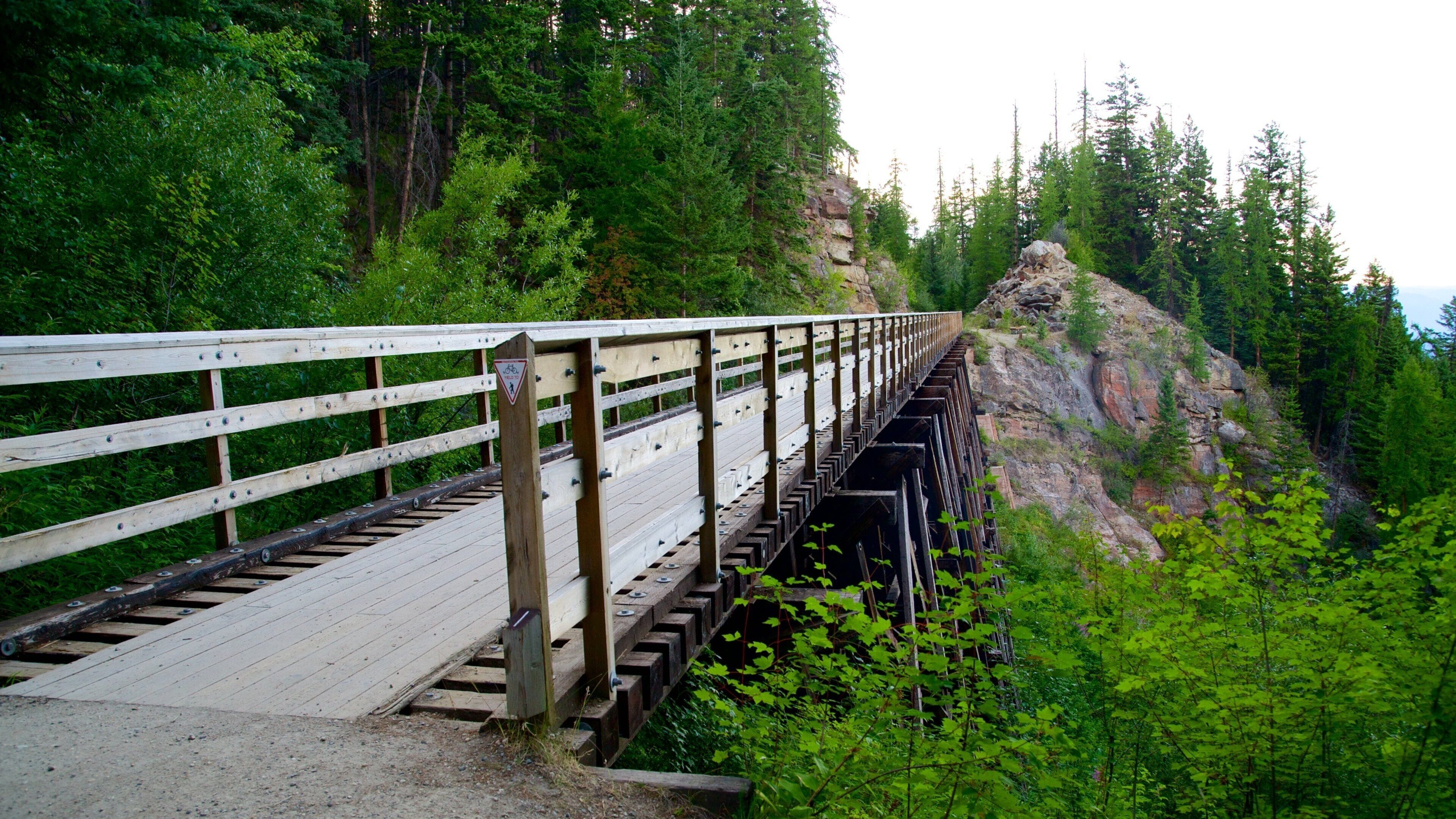 A wooden pedestrian bridge over a rocky gorge surrounded by dense forest.