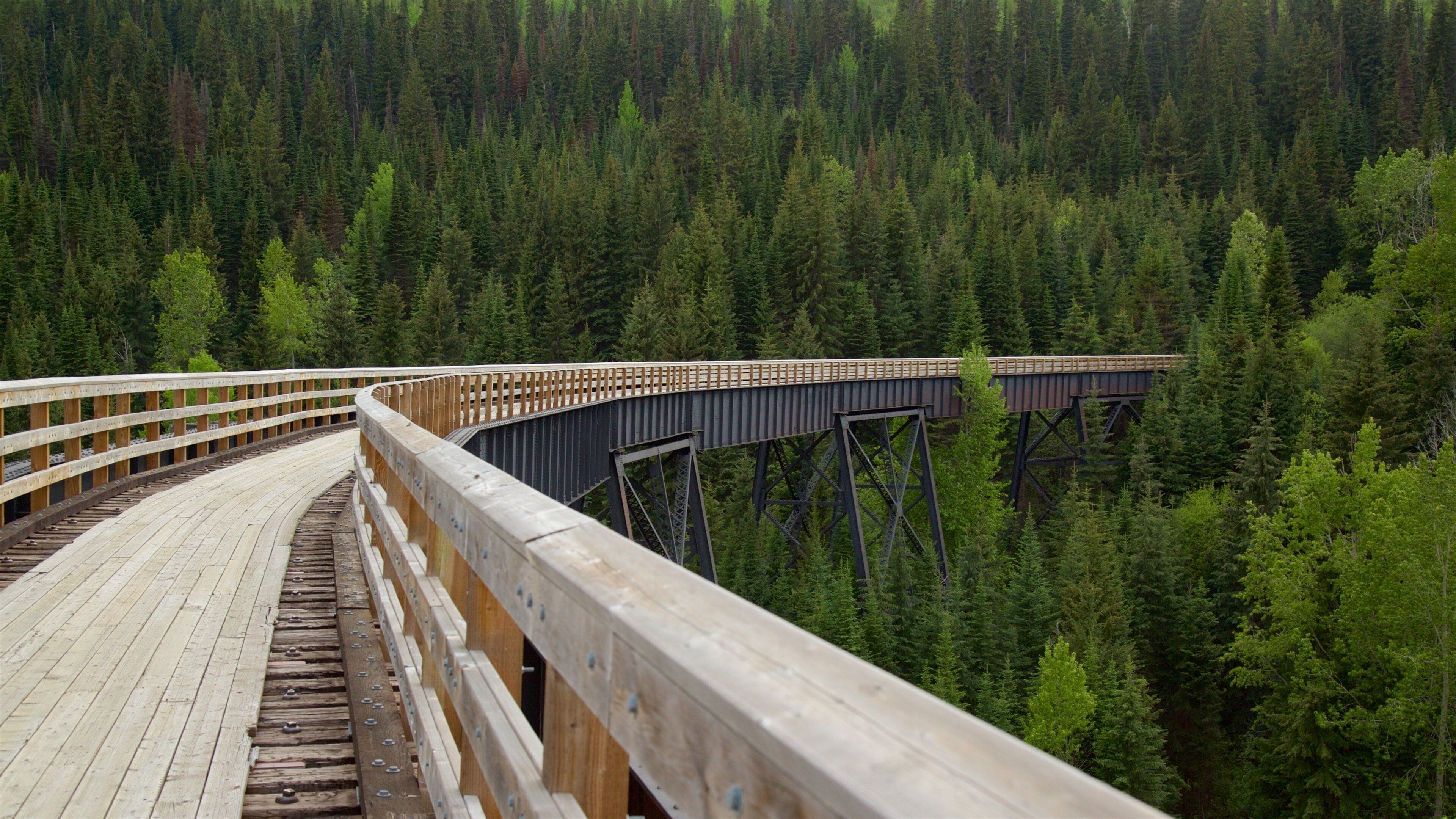 Un pont en bois, soutenu par des piliers métalliques, dans une forêt.