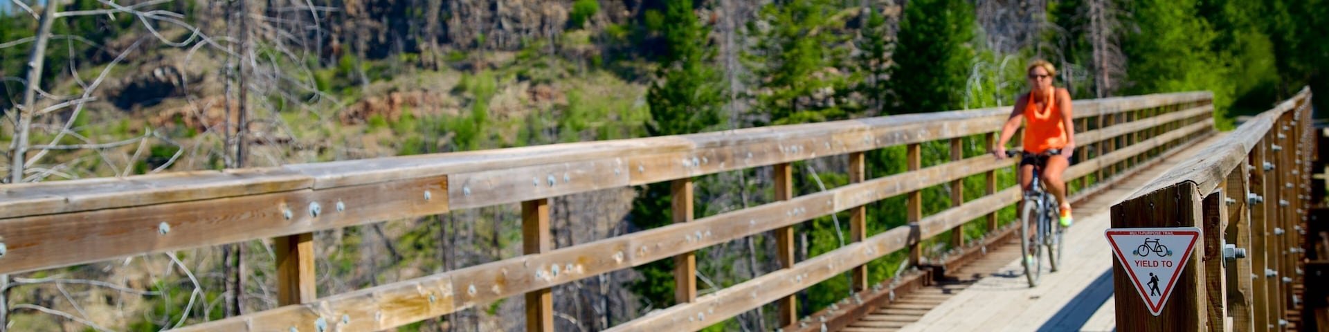 Myra-Bellevue Provincial Park que inclui uma ponte e ciclismo assim como uma mulher sozinha