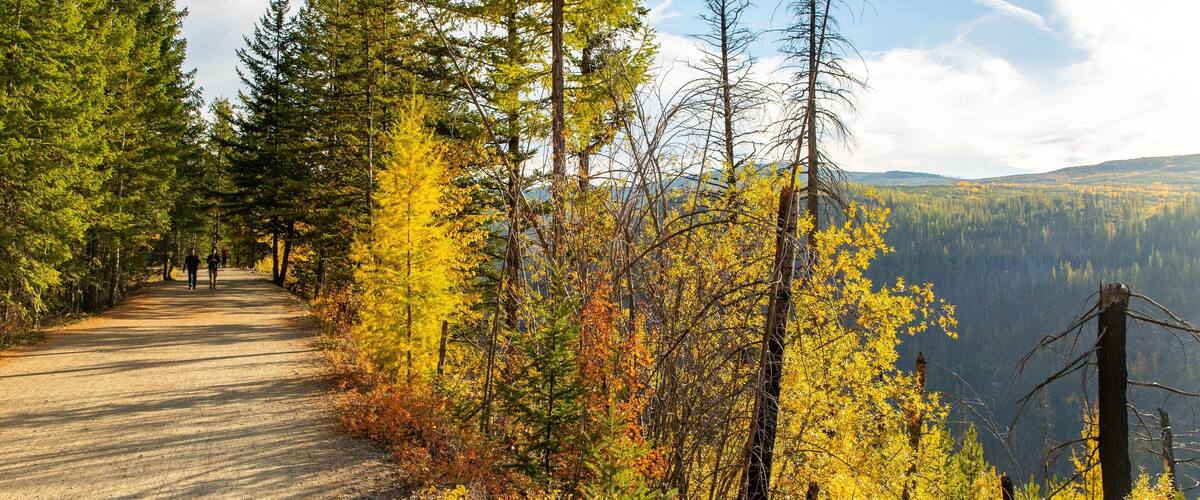 Myra-Bellevue Provincial Park showing tranquil scenes and forests