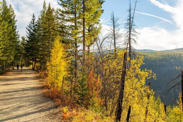 Myra-Bellevue Provincial Park showing tranquil scenes and forests