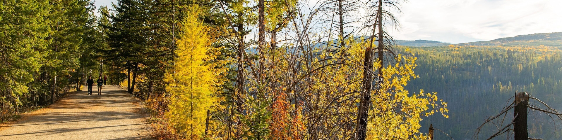 Myra-Bellevue Provincial Park showing tranquil scenes and forests