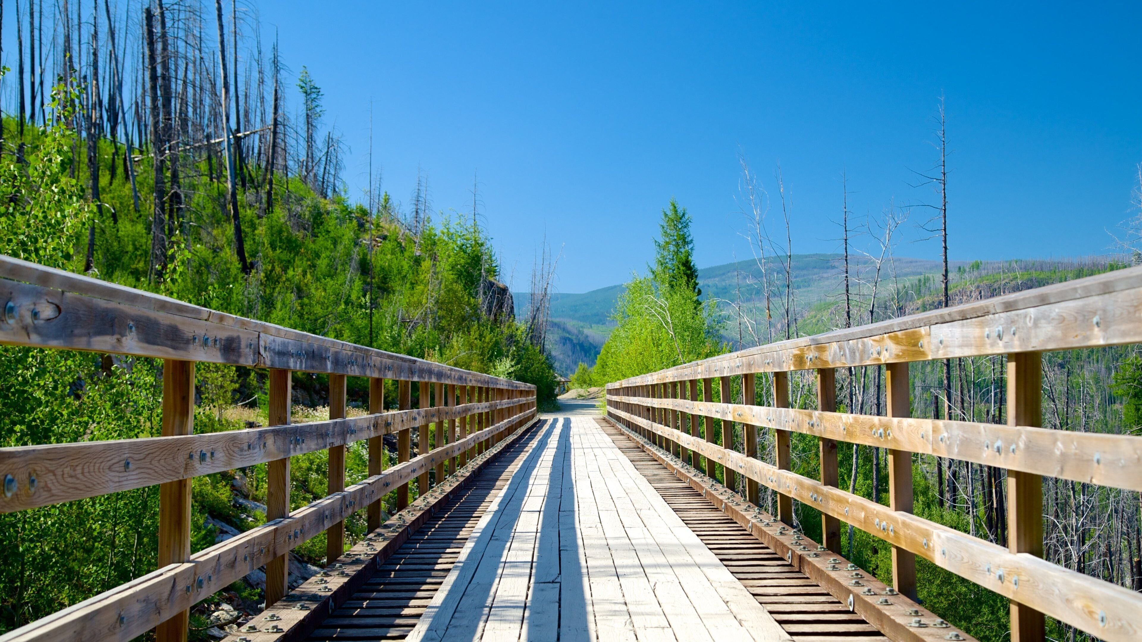 Myra-Bellevue Provincial Park featuring a bridge and forests