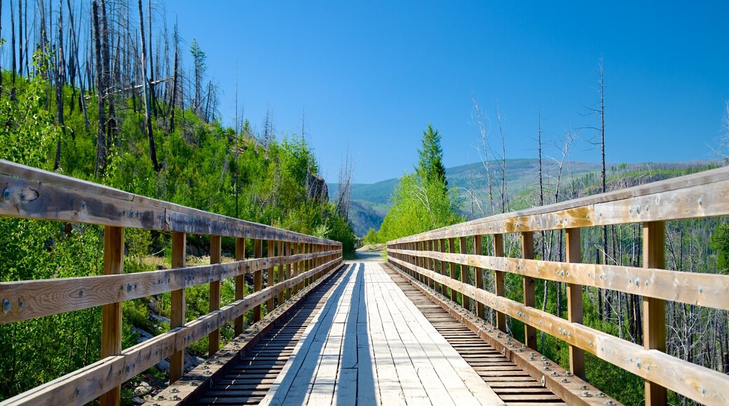 Myra-Bellevue Provincial Park featuring a bridge and forests