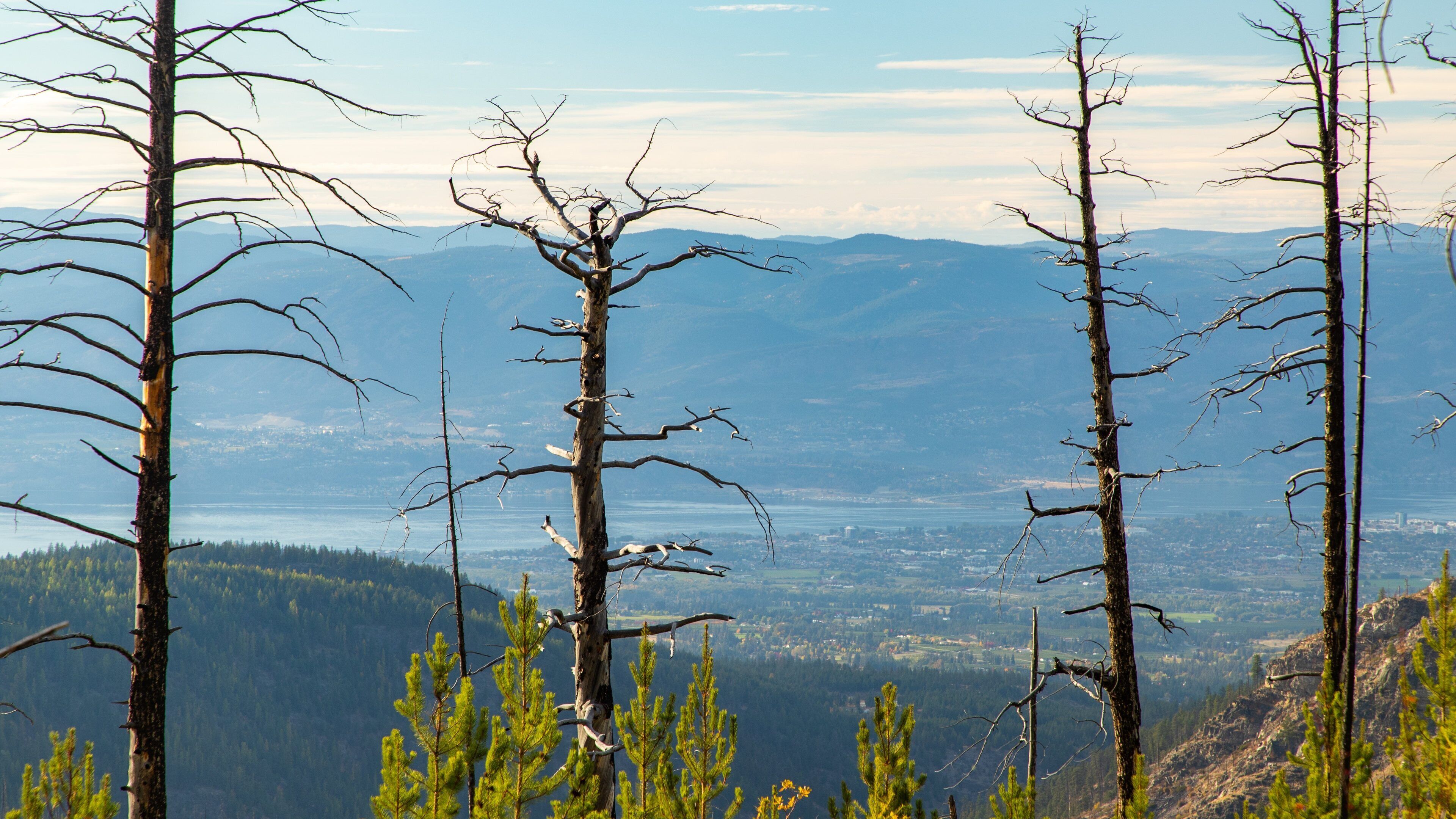 Myra-Bellevue Provincial Park showing landscape views and tranquil scenes