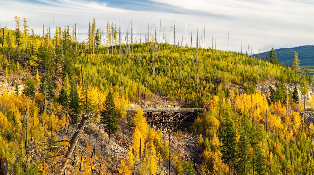 Myra-Bellevue Provincial Park showing tranquil scenes