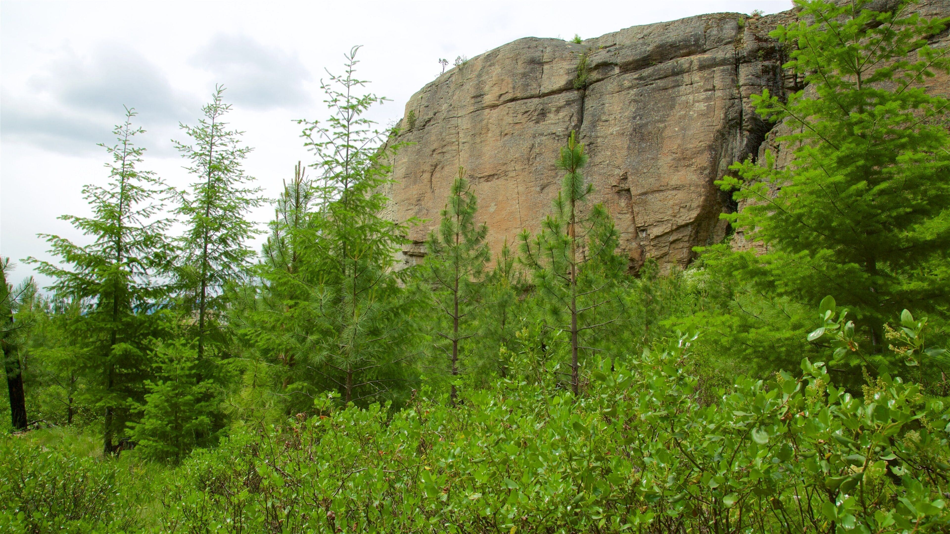 Skaha Bluffs Provinspark som viser bjerge